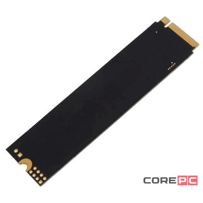 Твердотельный накопитель AMD 2000 Gb Radeon R3 Series (R3MP32048G8)