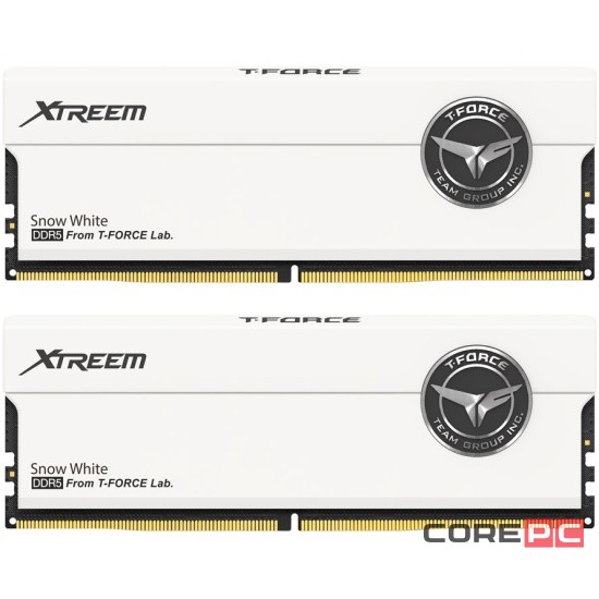 Оперативная память 32 Gb 8000 MHz Team Group T-FORCE Xtreem White (FFWD532G8000HC38DDC01)