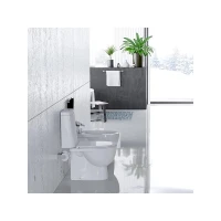 Унитаз компакт Sanita luxe WC.CC/Fest/2-DM/WHT.G/S1 с сиденьем, микролифт, цвет белый