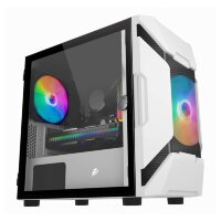 Компьютерный корпус 1STPLAYER DK D3-A TG RGB White (D3-A-WH-2G6P)