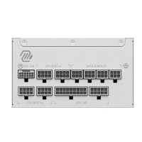 Блок питания MSI 1000W MAG A1000GL PCIE5 White (306-7ZP9B51-CE0) 16 Pin (PCIe 5.1 Connector Cable Details)