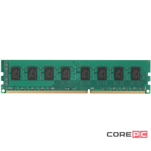 Оперативная память 8 Gb 1600 MHz NETAC BASIC (NTBSD3P16SP-08)