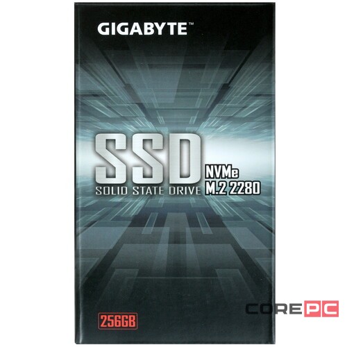 Твердотельный накопитель Gigabyte 256 Gb GP-GSM2NE3256GNTD