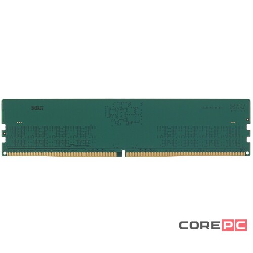 Оперативная память 16 Gb 4800 MHz NETAC BASIC (NTBSD5P48SP-16)