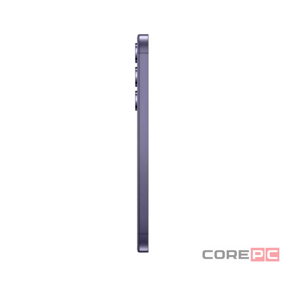 Samsung Galaxy S24+ 12/256Gb (Cobalt Violet)