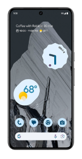 Google Pixel 8 Pro 12/512Gb (Obsidian)