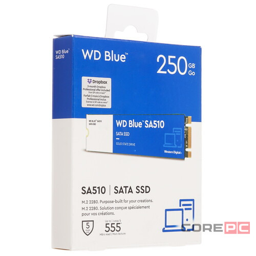 Твердотельный накопитель Western Digital 250 Gb SA510 Blue WDS250G3B0B