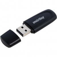 USB флеш накопитель Smartbuy 32GB Scout (SB032GB2SCK) черный