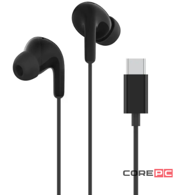 Наушники Xiaomi Type-C Earphones (Black) (M2413E1)