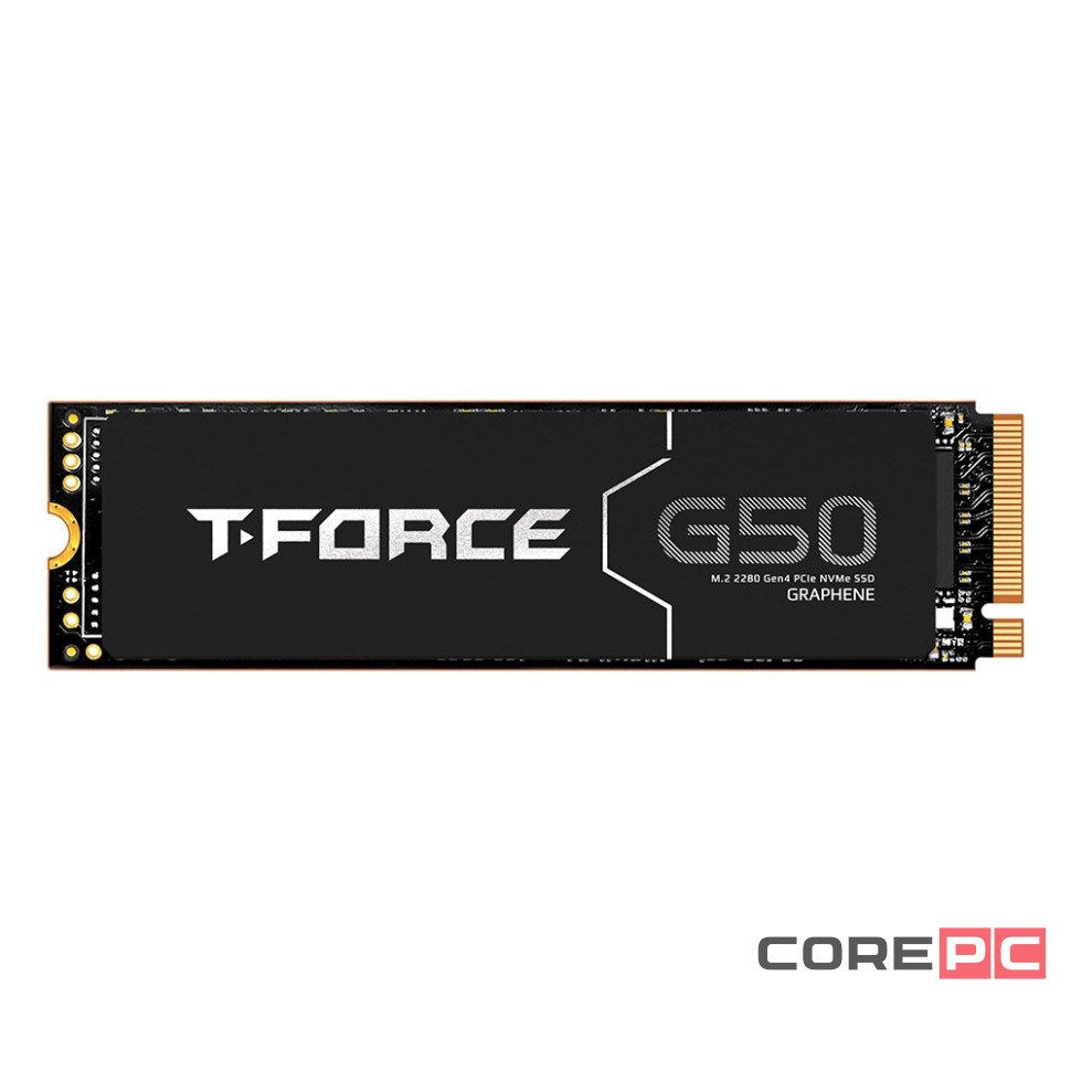 Твердотельный накопитель TeamGroup 2000 Gb T-FORCE G50 (TM8FFE002T0C129)