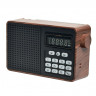 Портативный радиоприемник Perfeo Alpinist 3Вт/FM/AUX/USB/MicroSD/1000mAh (PF_D0574) коричневый