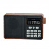 Портативный радиоприемник Perfeo Alpinist 3Вт/FM/AUX/USB/MicroSD/1000mAh (PF_D0574) коричневый