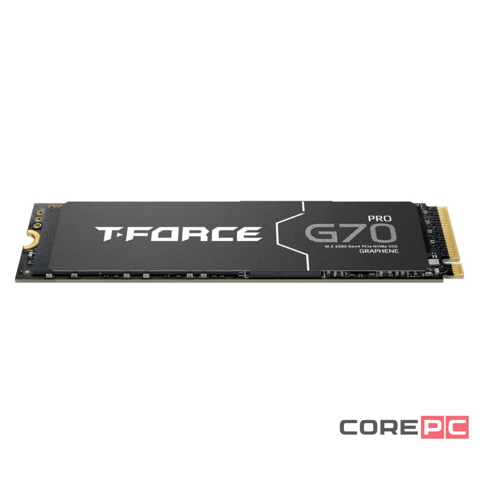 Твердотельный накопитель TeamGroup 1000 Gb T-FORCE G70 PRO (TM8FFH001T0C129)