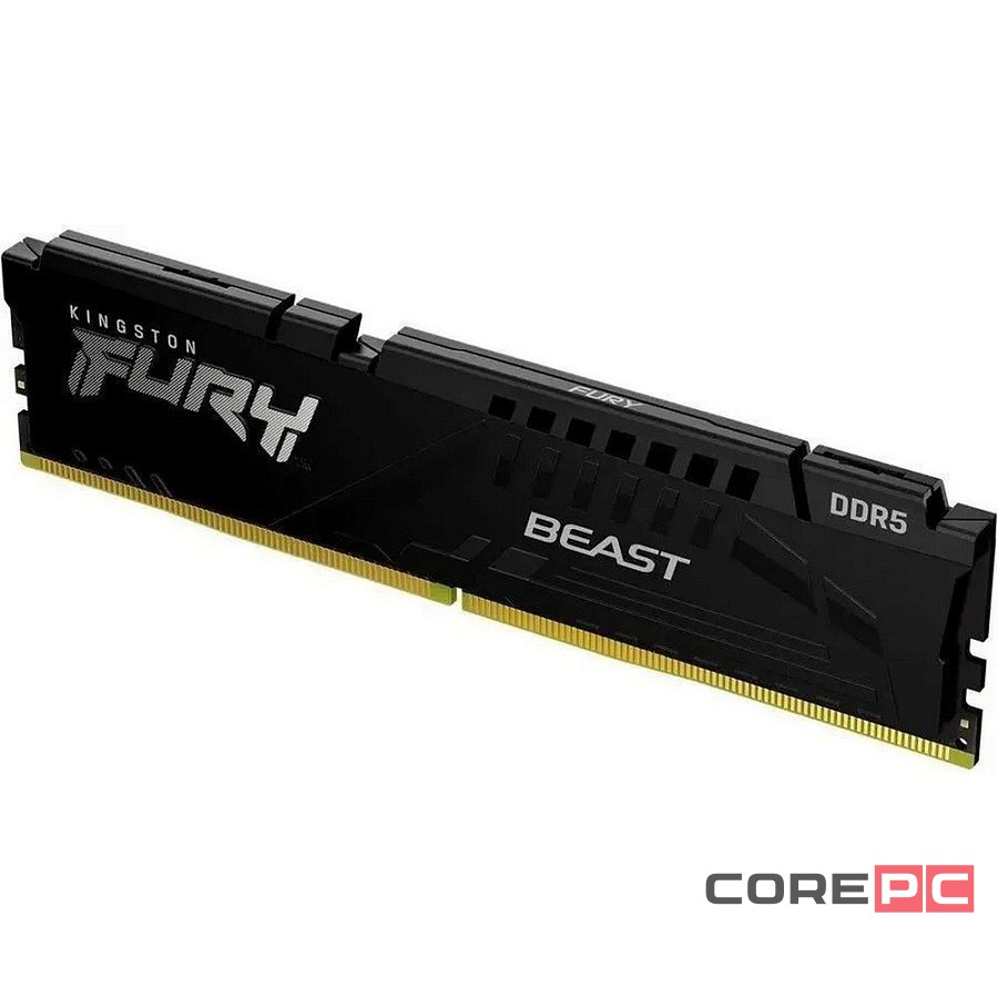 Оперативная память 16 Gb 6800 MHz Kingston FURY Beast Black (KF568C34BBE-16)