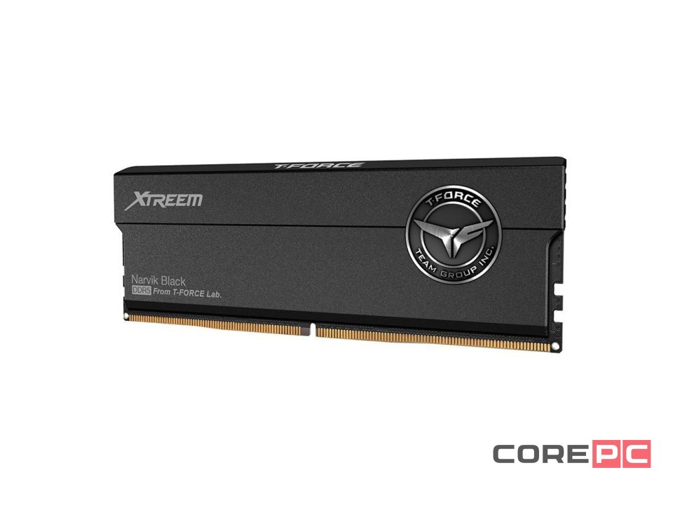 Оперативная память 48 Gb 8200 MHz Team Group T-FORCE XTREEM Black (FFXD548G8200HC38EDC01)
