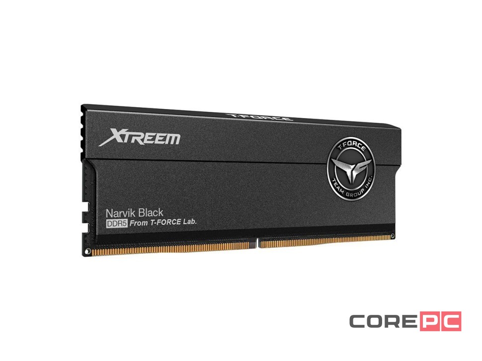 Оперативная память 48 Gb 8200 MHz Team Group T-FORCE XTREEM Black (FFXD548G8200HC38EDC01)