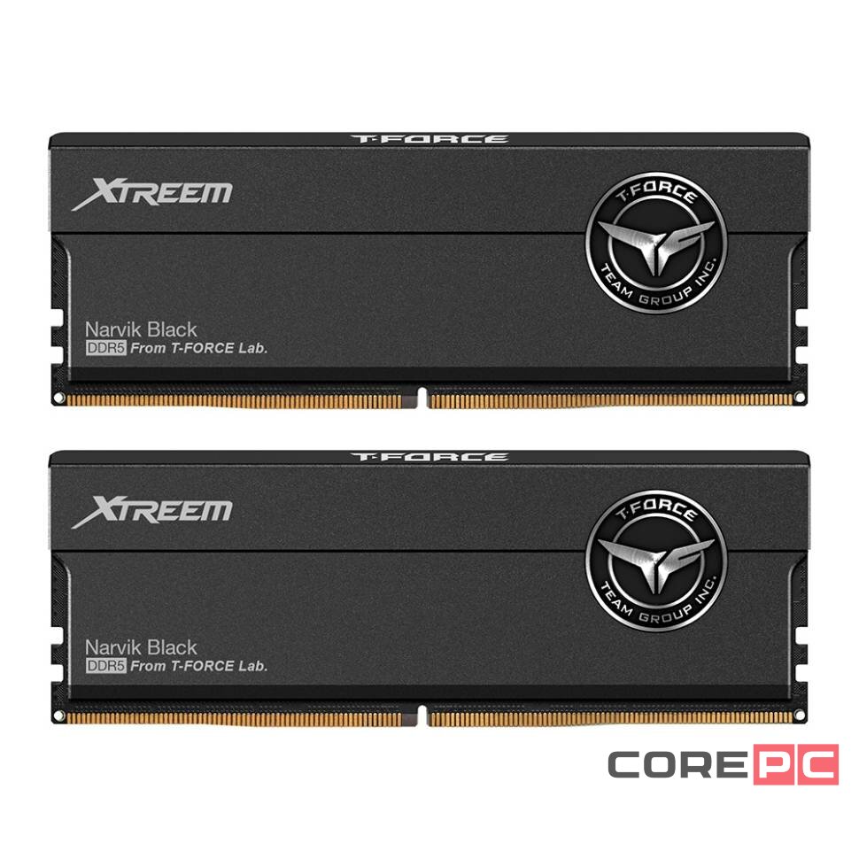 Оперативная память 48 Gb 8200 MHz Team Group T-FORCE XTREEM Black (FFXD548G8200HC38EDC01)